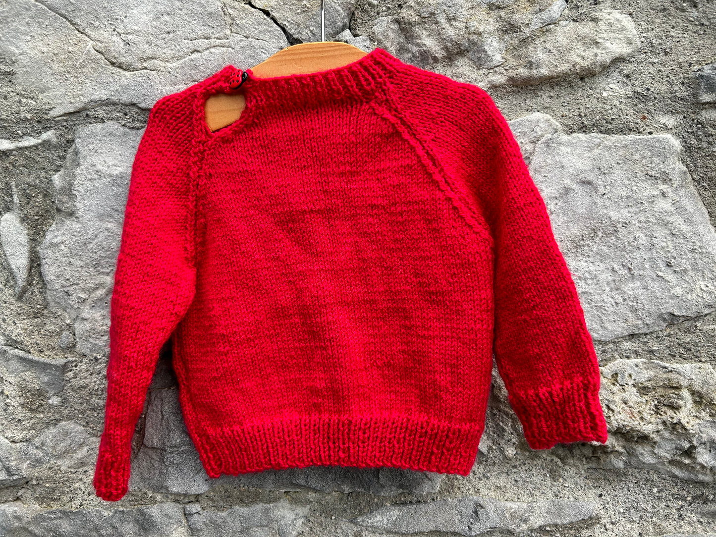 Red jumper  9-12m (74-80cm)