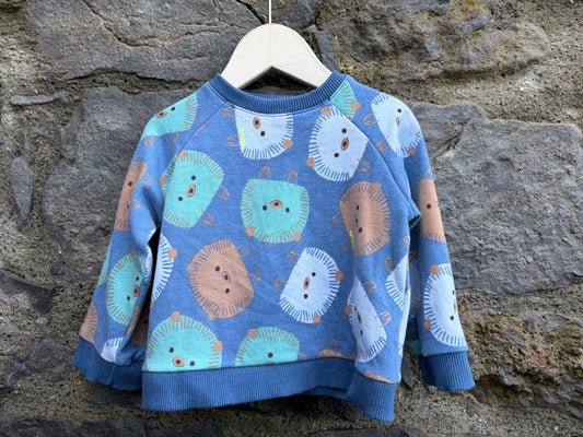 Hedgehog blue sweatshirt  3-6m (62-68cm)