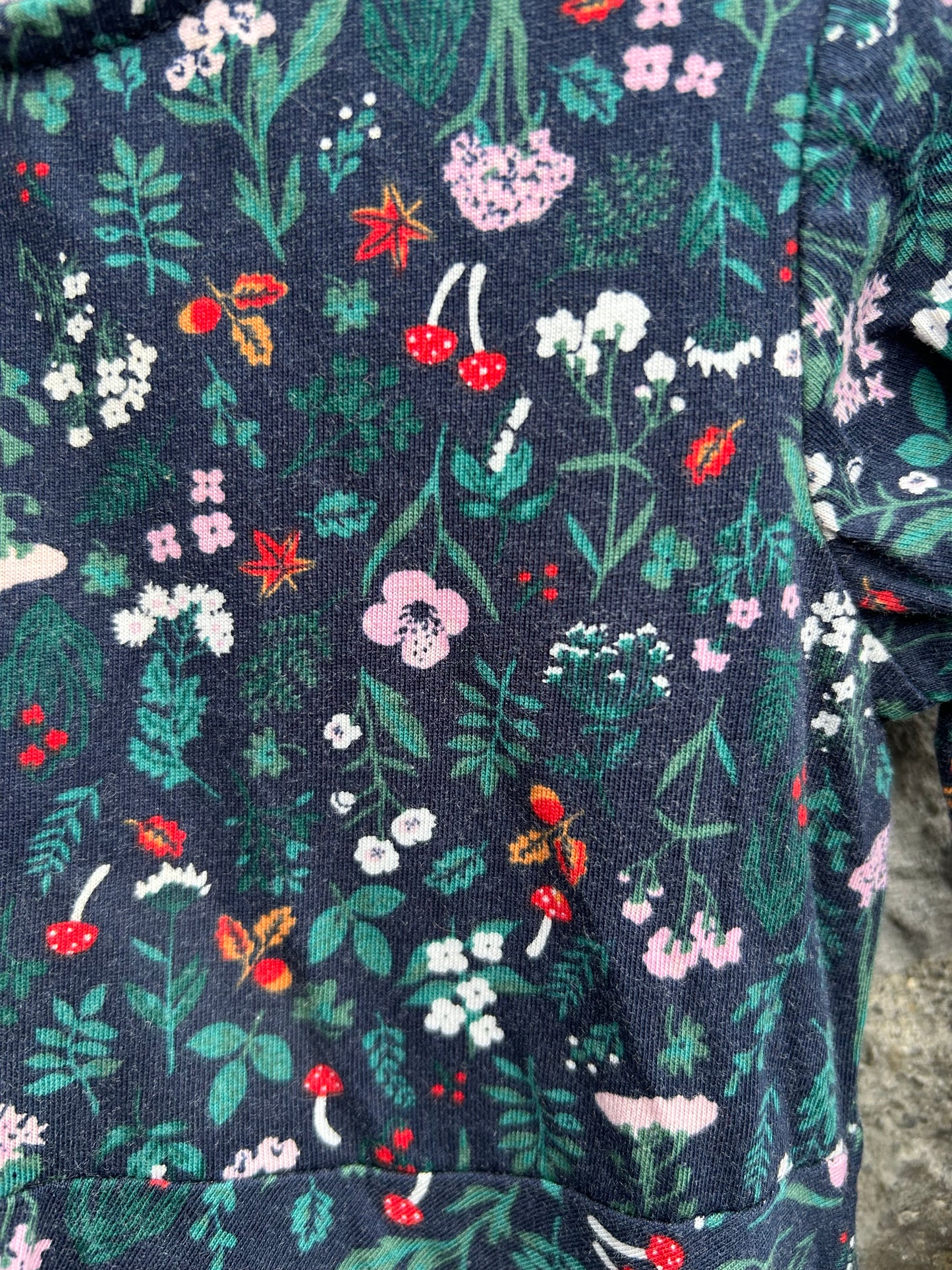 Winter meadow navy dress  9-12m (74-80cm)