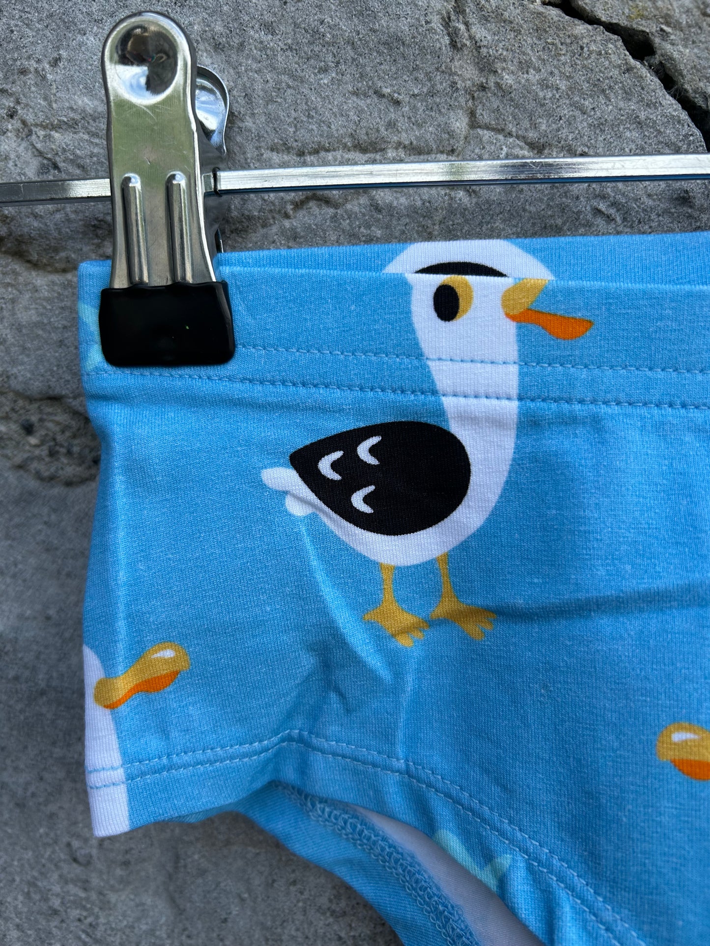 Seagulls blue hipster briefs  3-4y (98-104cm)