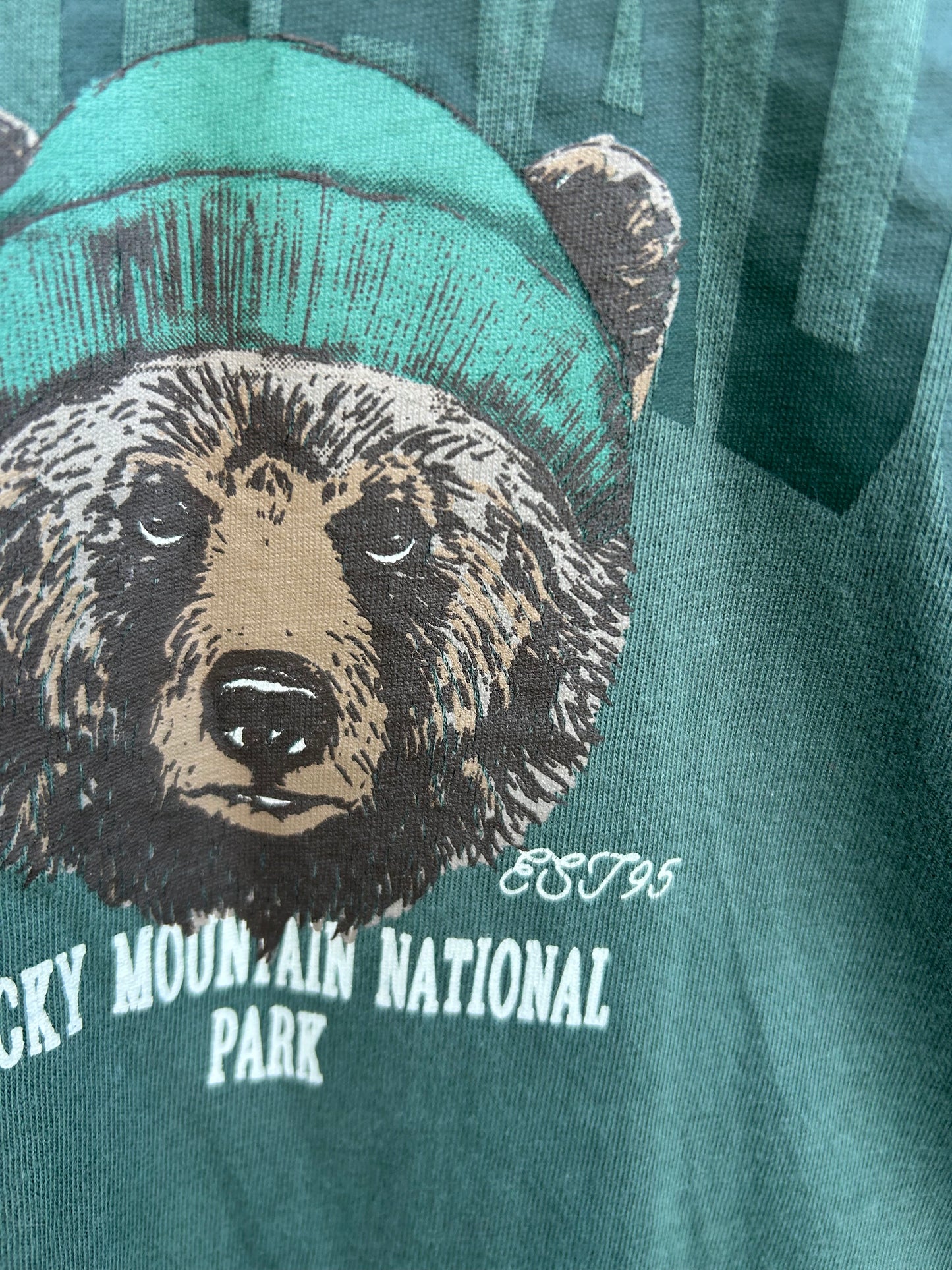 Winter bear green top  7-8y (122-128cm)