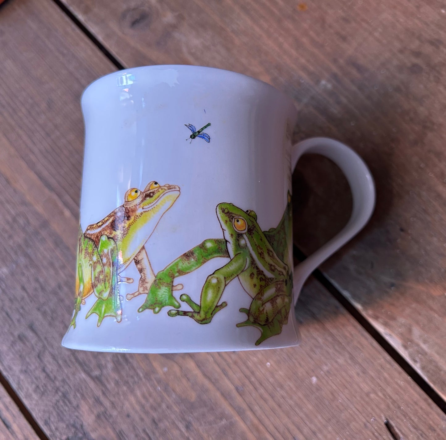 Frog mug