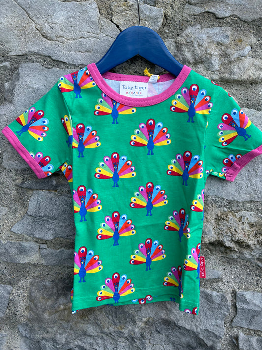 Rainbow peacock T-shirt   2-3y (92-98cm)