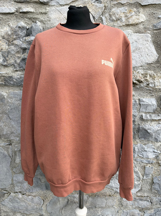 Brown sweatshirt Medium