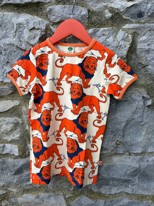 Lions cream T-shirt 4-5y (104-110m)