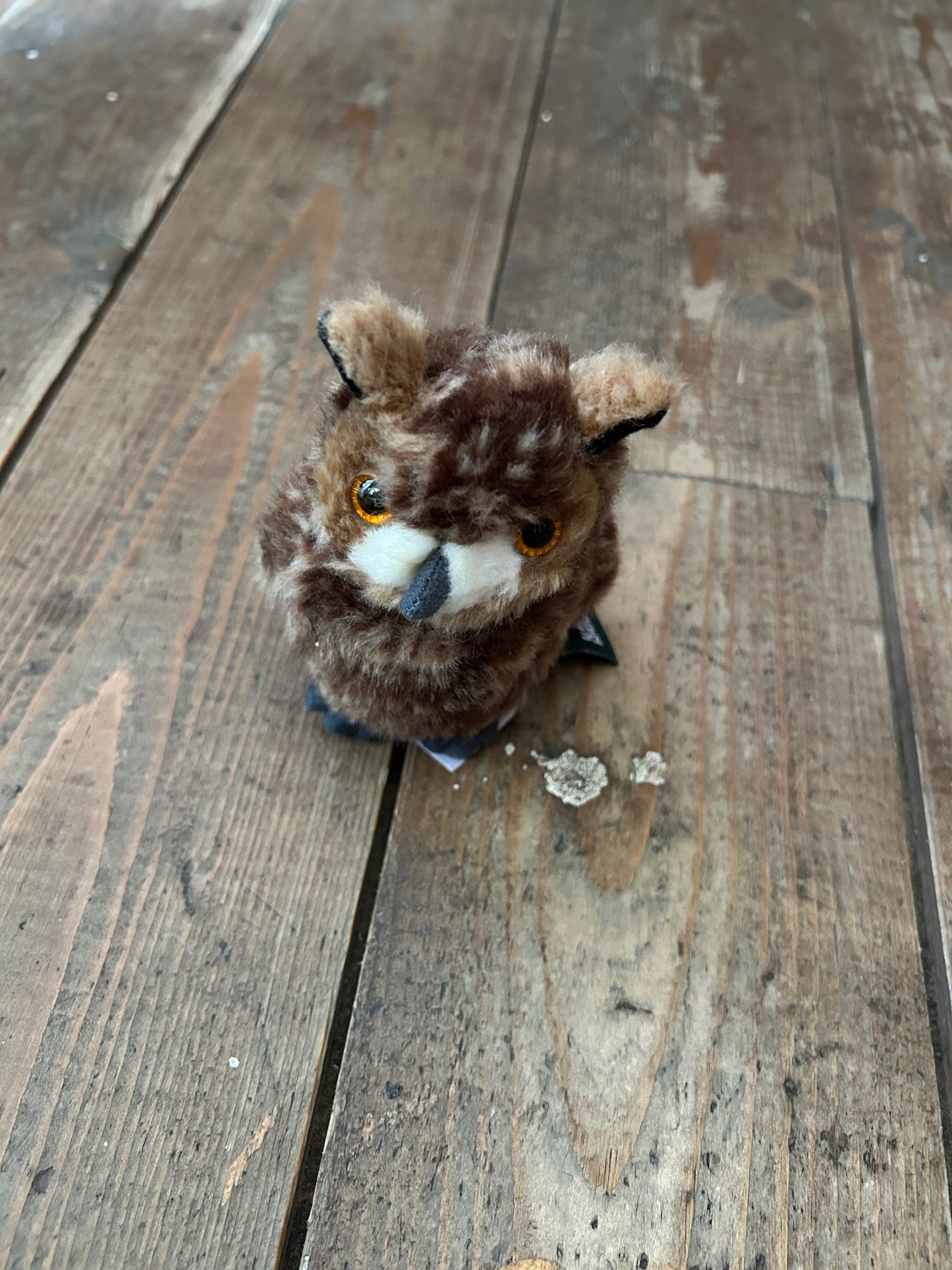 Small owl soft toy