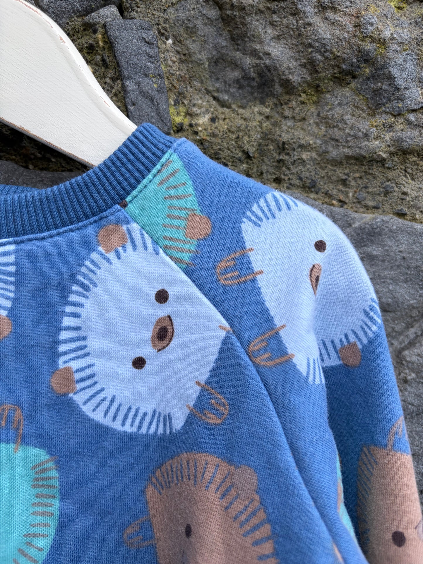 Hedgehog blue sweatshirt  3-6m (62-68cm)