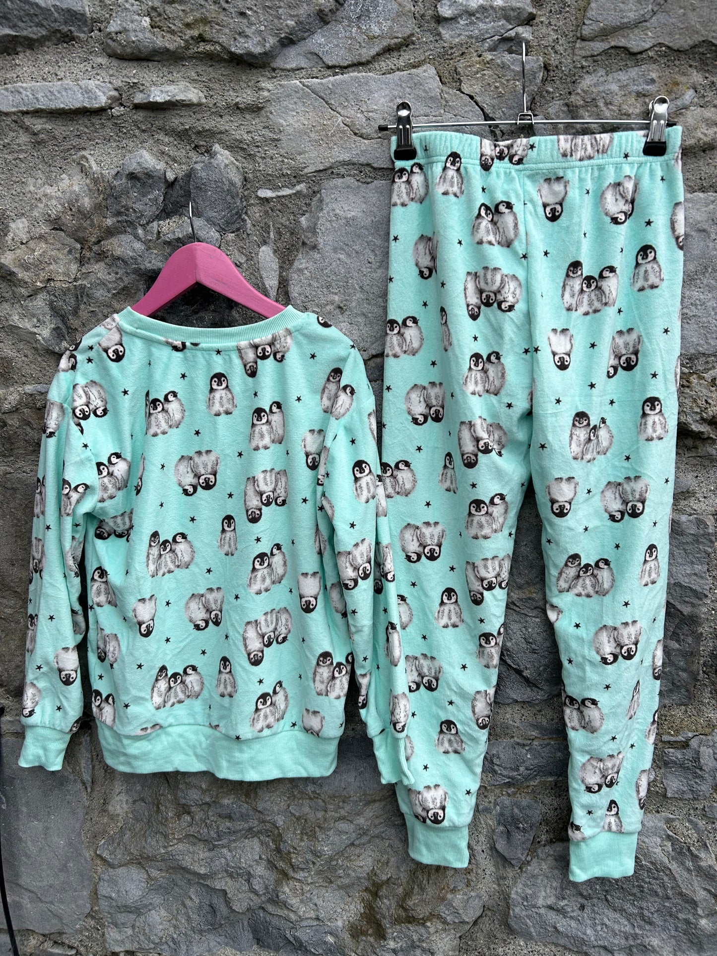 Penguin mint fleece pj  9-10y (134-140cm)