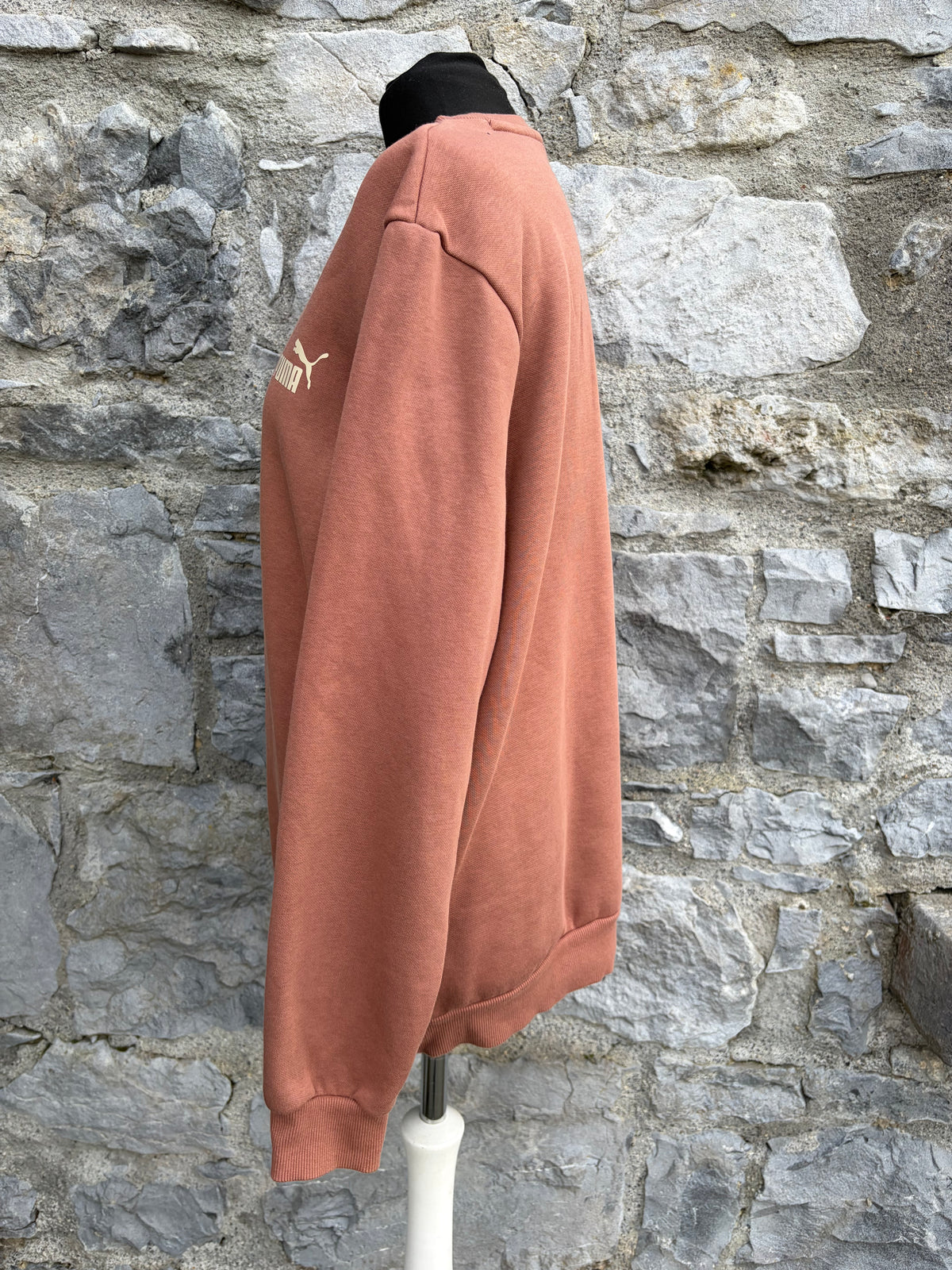 Brown sweatshirt Medium