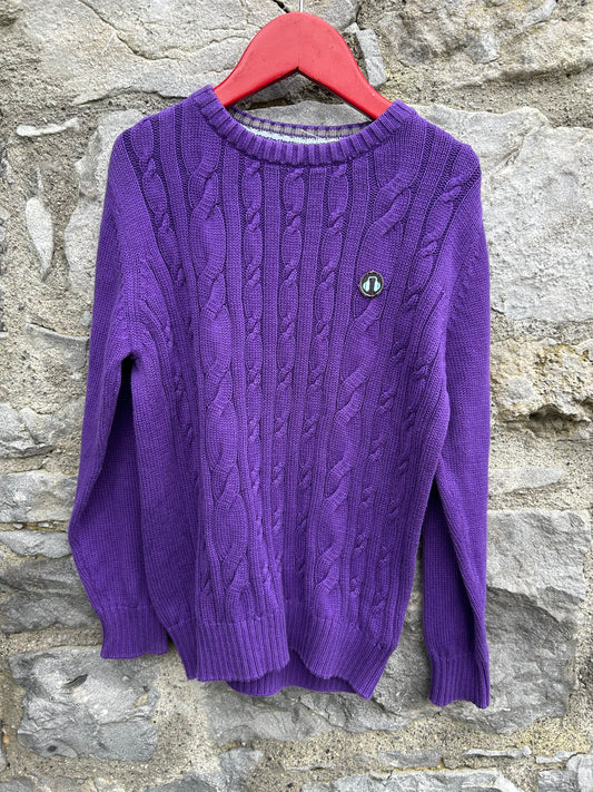 Purple jumper  7-8y (122-128cm)