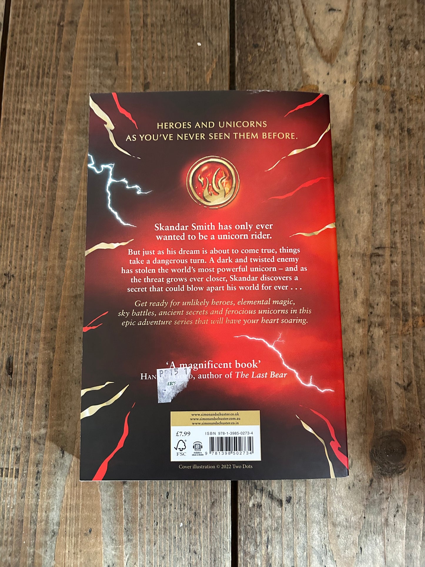 Skander and the unicorn thief by A.F.Steadman