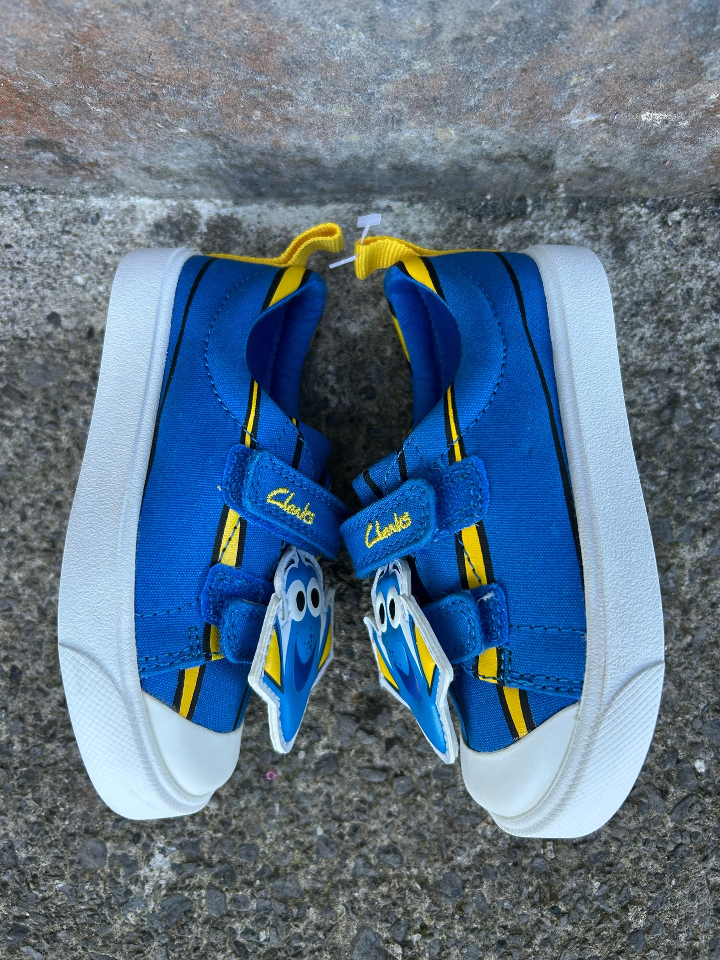 City Nemo Toddler Trainers  uk 6F (eu 22.5)
