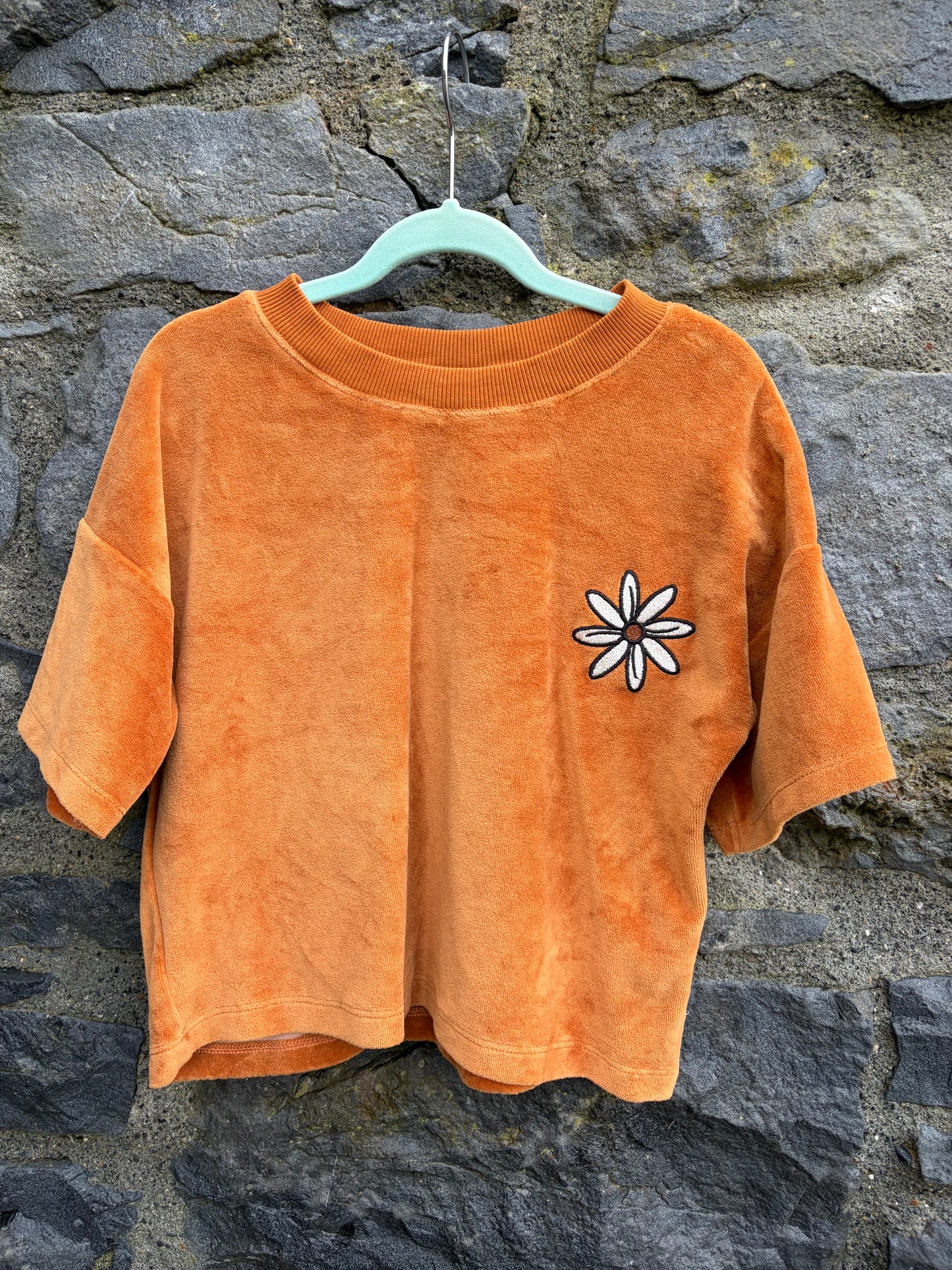 Rusty velvet cropped T-shirt  9-10y (134-140cm)