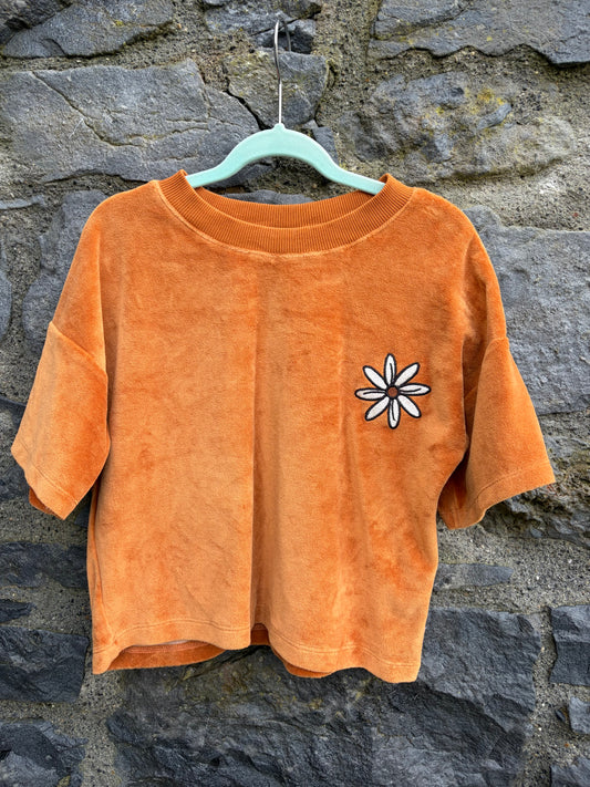 Rusty velvet cropped T-shirt  9-10y (134-140cm)