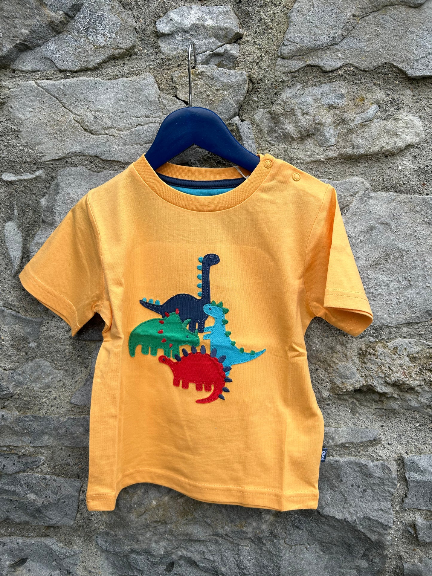 Dinosaurs yellows T-shirt  4y (104cm)