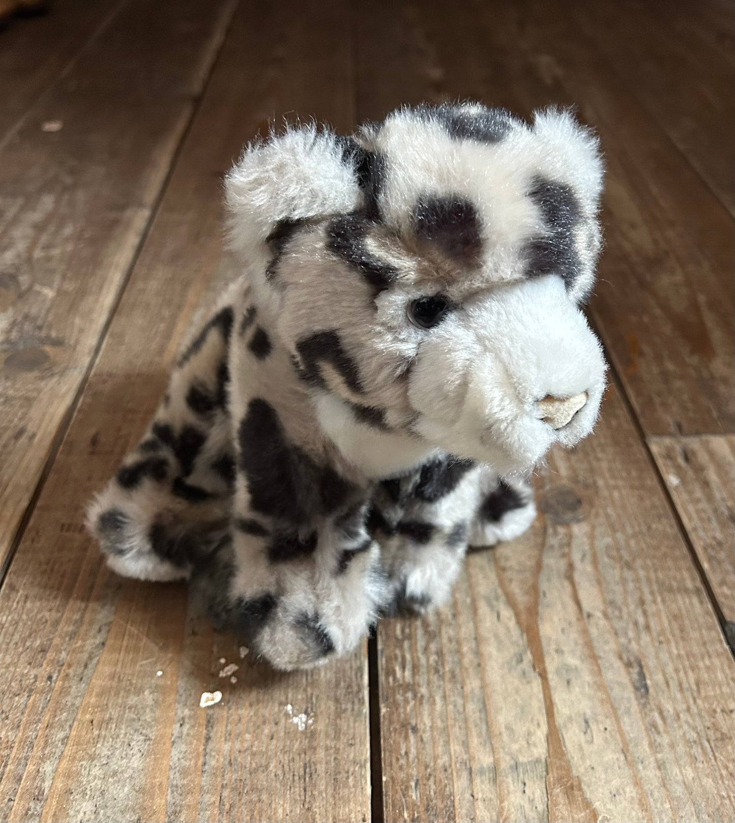 Snow leopard