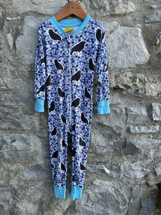 Black Bird Blue zip suit  18m (86cm)