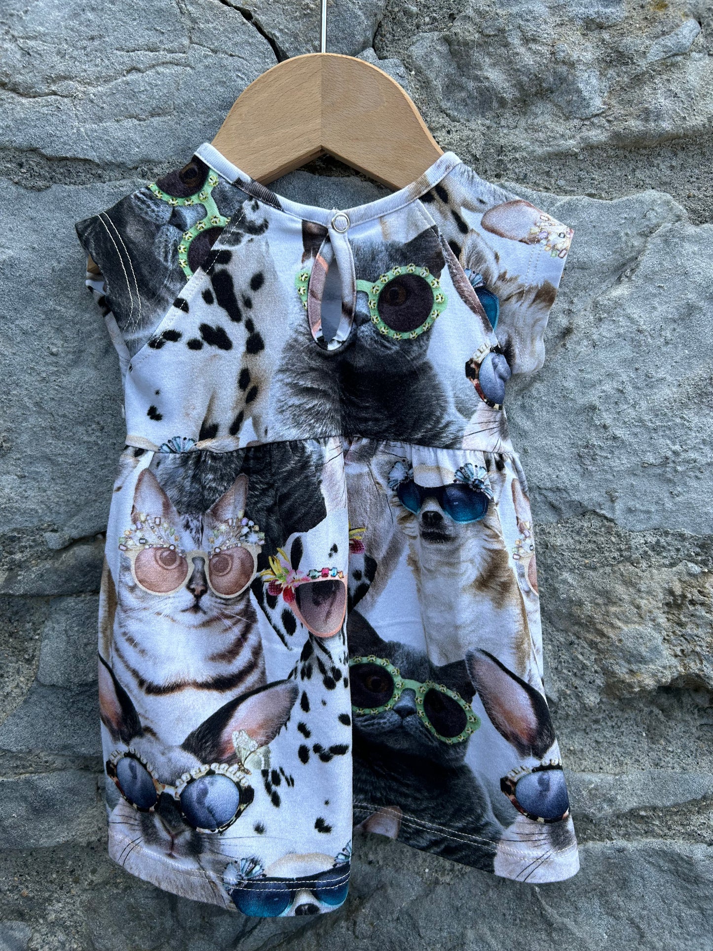 Animals in sunglasses dress 3m (62cm)