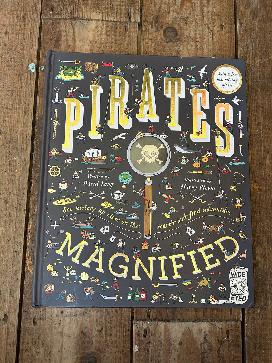 Pirates magnified by David Long