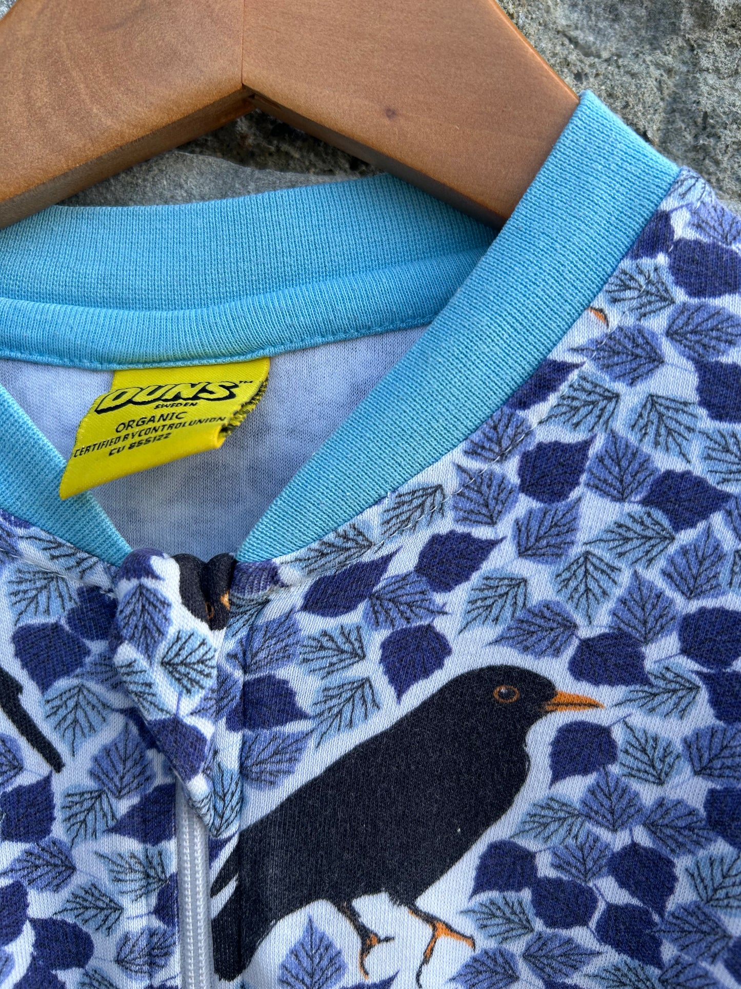 Black Bird Blue zip suit  18m (86cm)