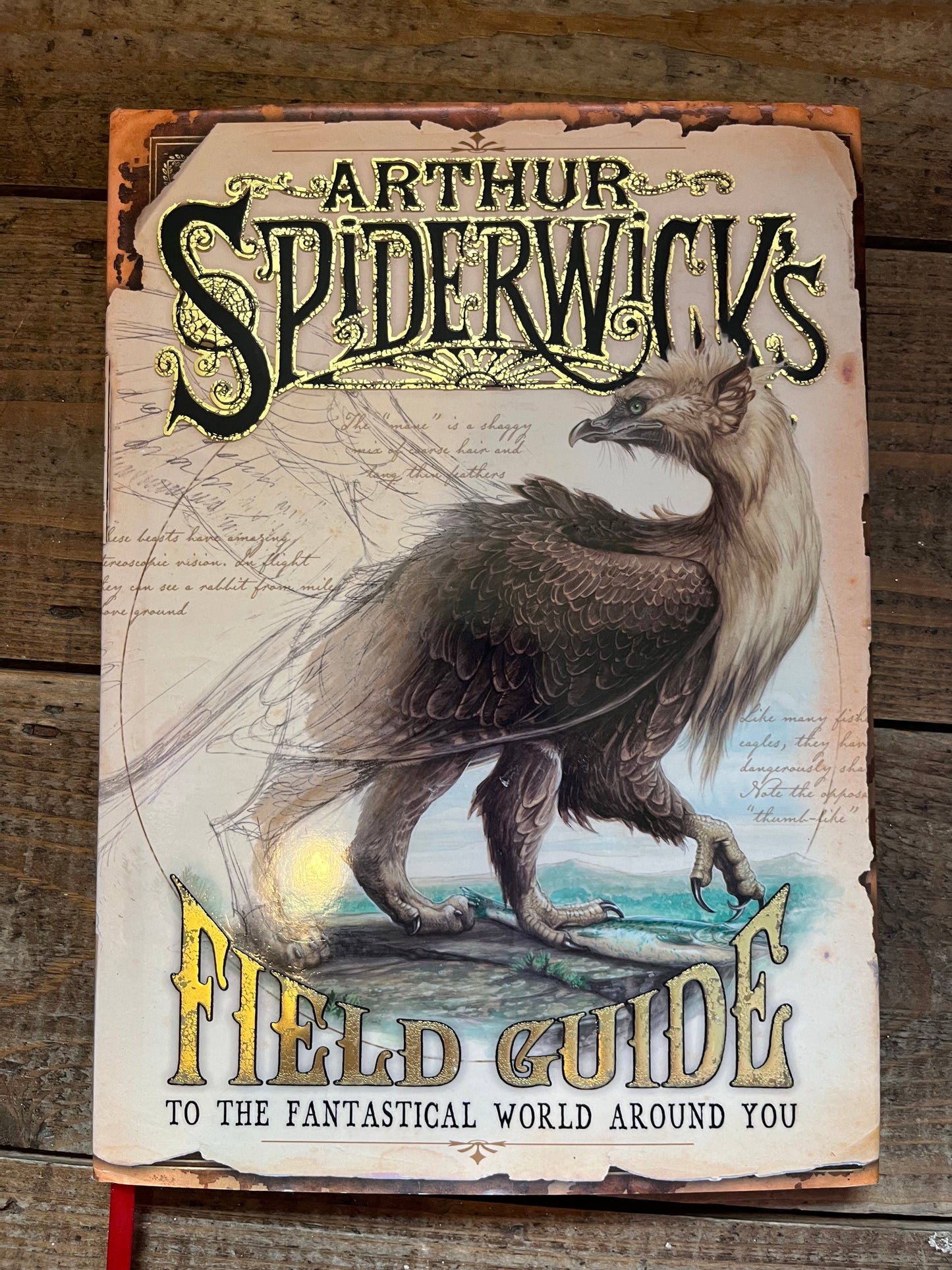 Arthur Spiderwick’s Field Guide By Toni Diterlizzi