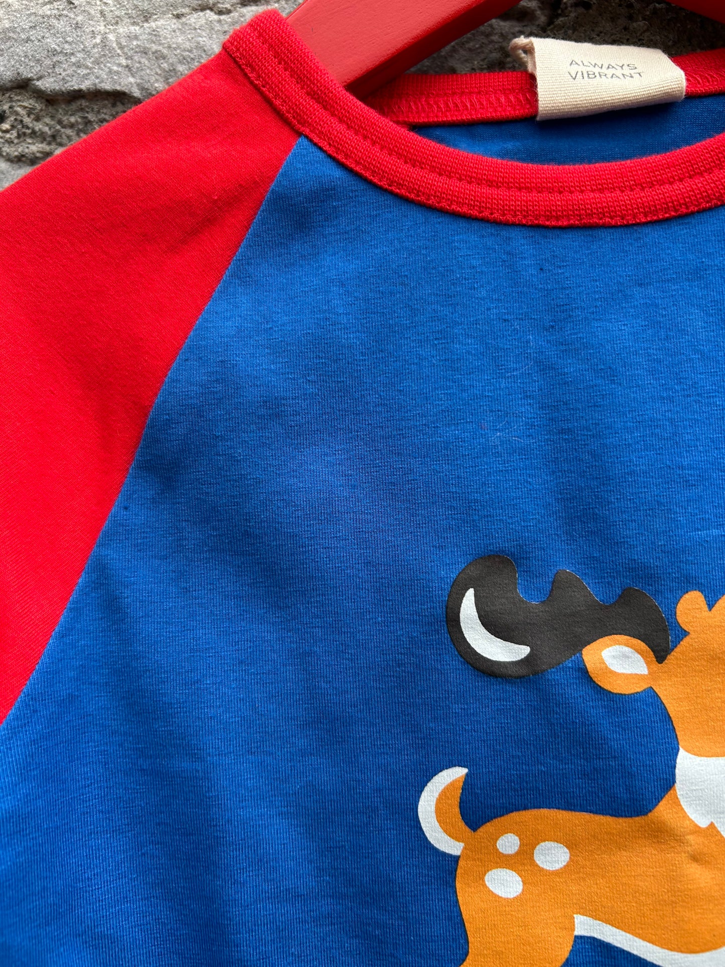 Raglan Reindeer Top   2-3y (92-98cm)