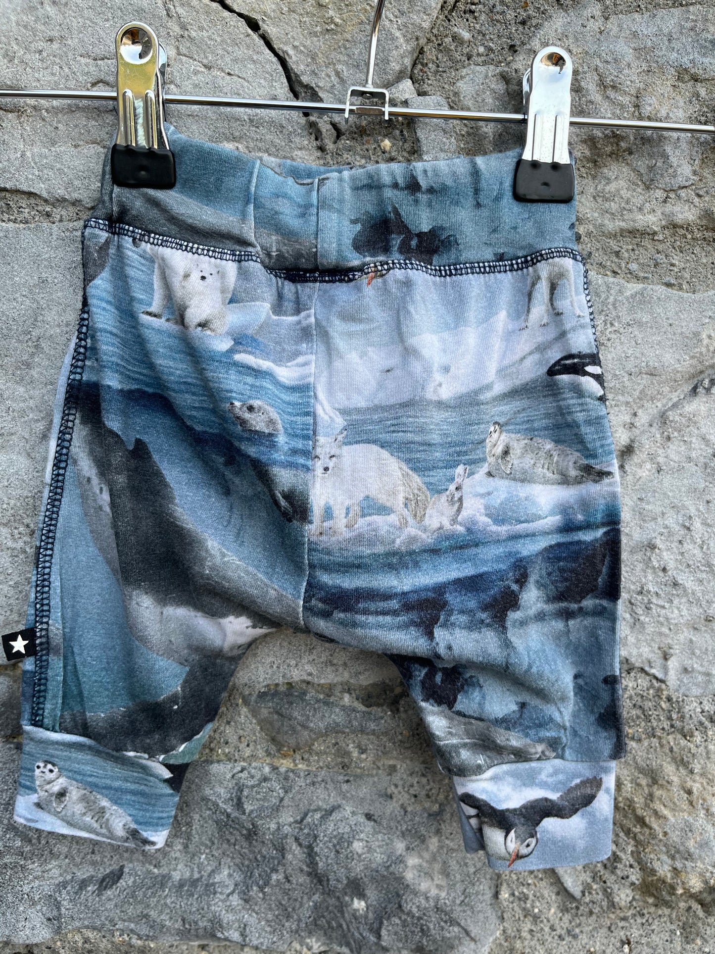 Arctic animals pants   0-1m (50-56cm)