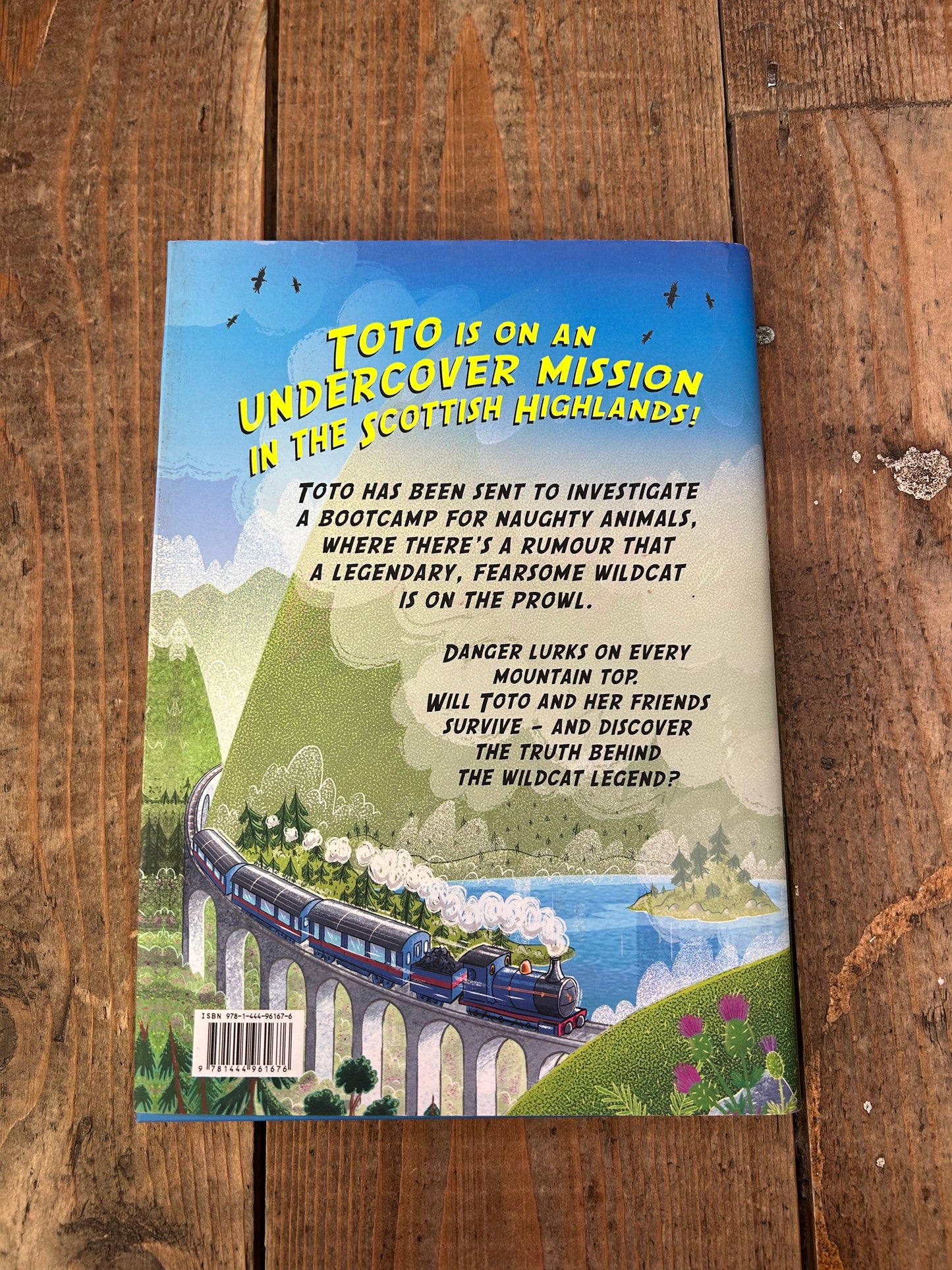 Toto the ninja cat and the legend of the wildcat by Dermot O’Leary