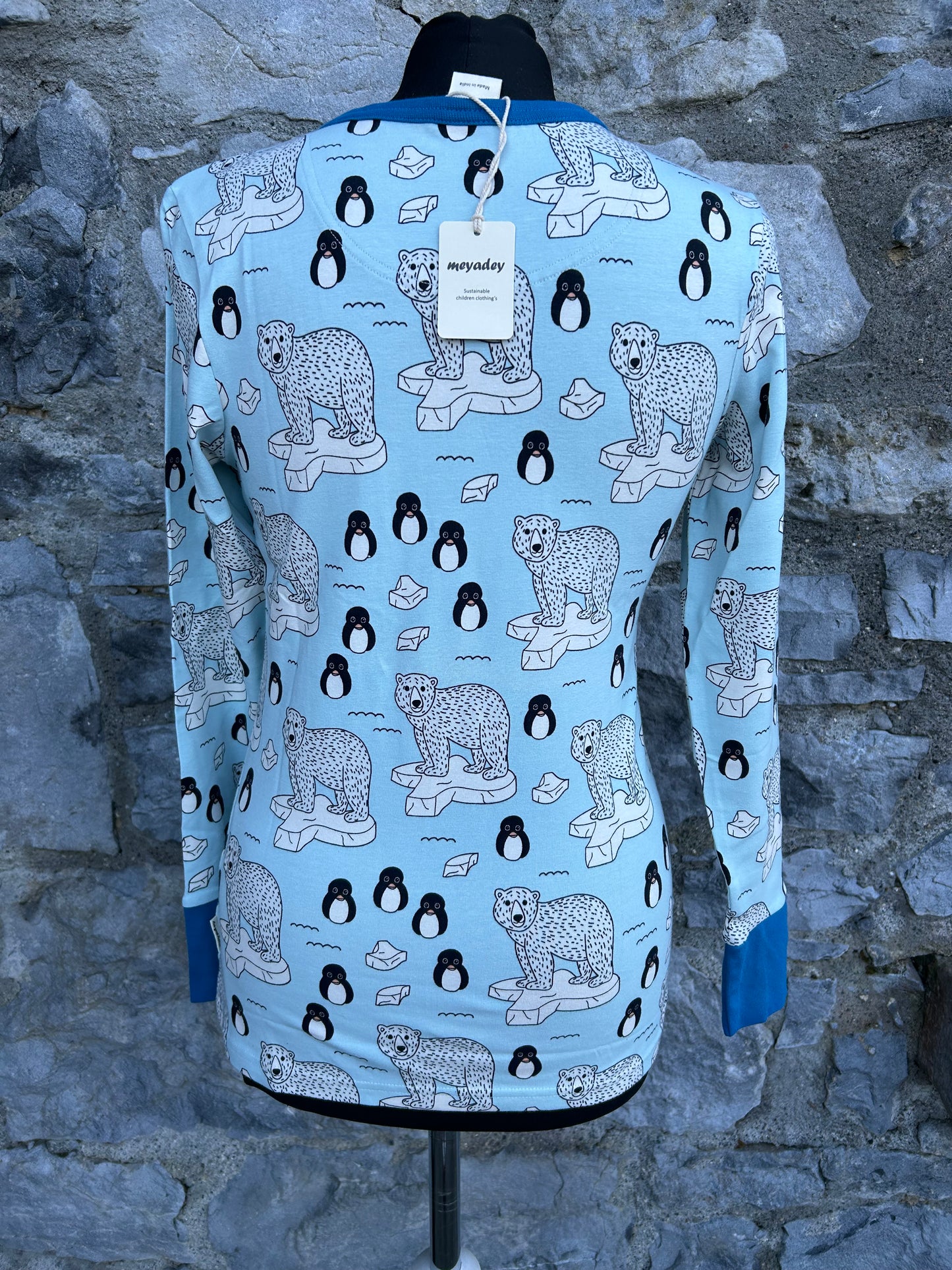 Arctic animals blue top uk 6-8