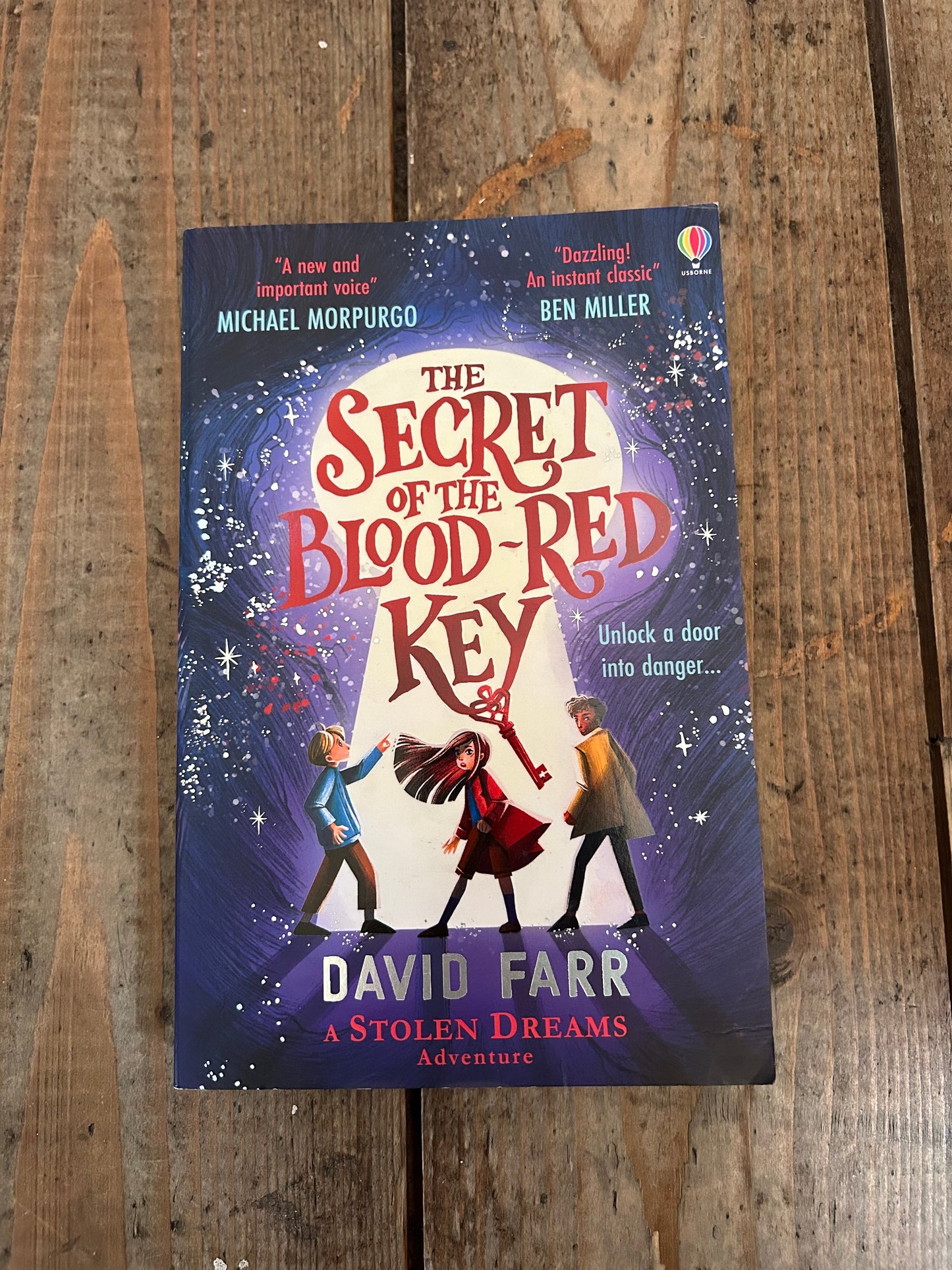 The secret of the blood red key by David Farr