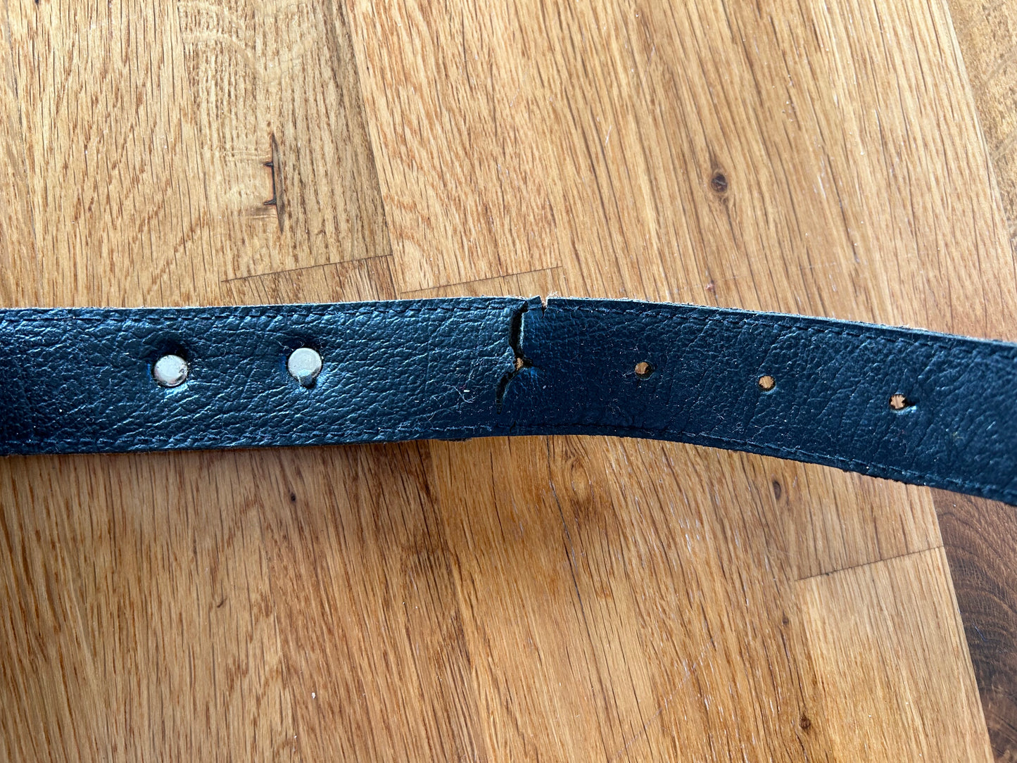 Dogs belt