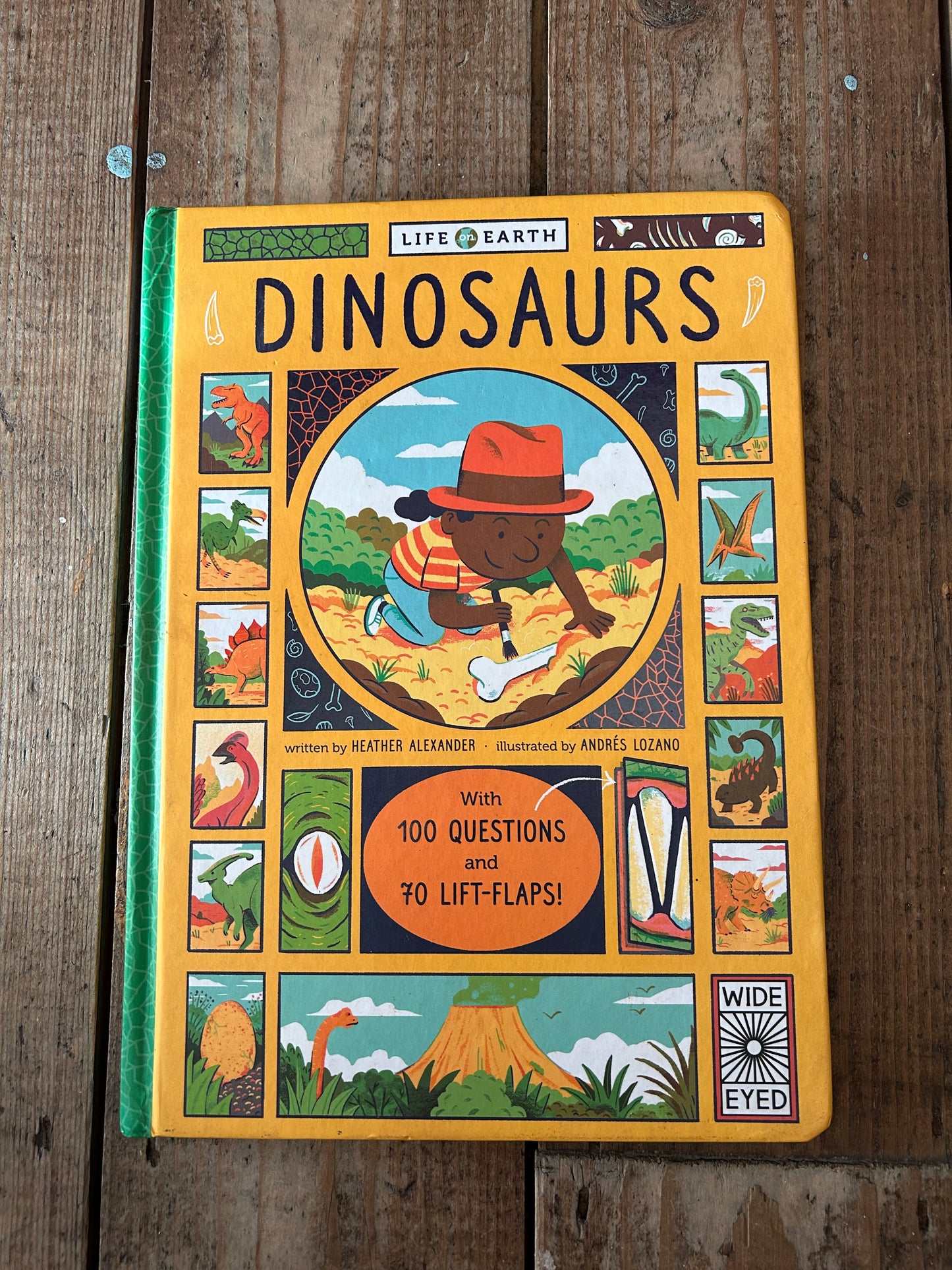 Dinosaurs book by Heather Alexander