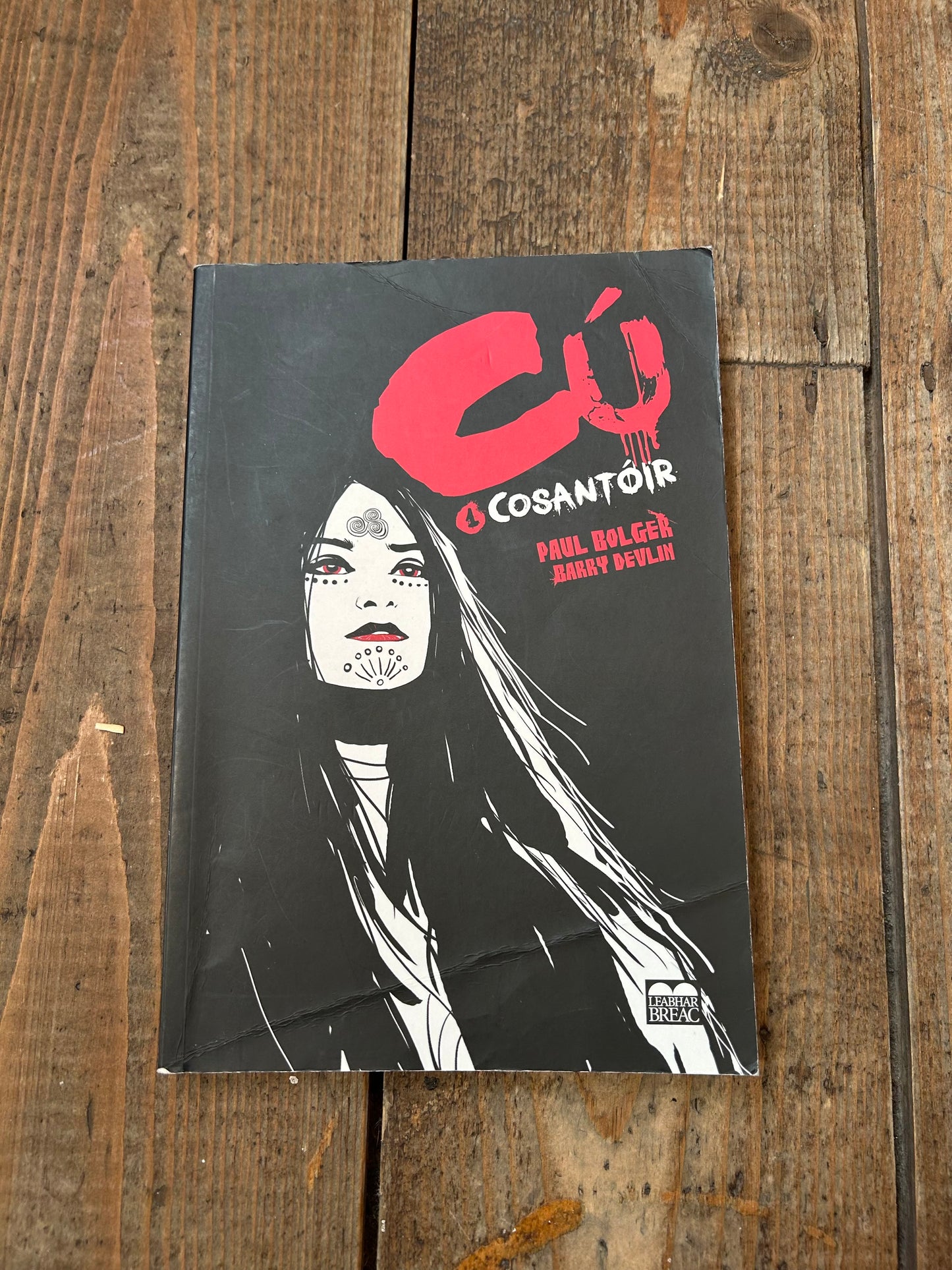 Cú 1: Cosantóir by Paul Bolger & Barry Devlin