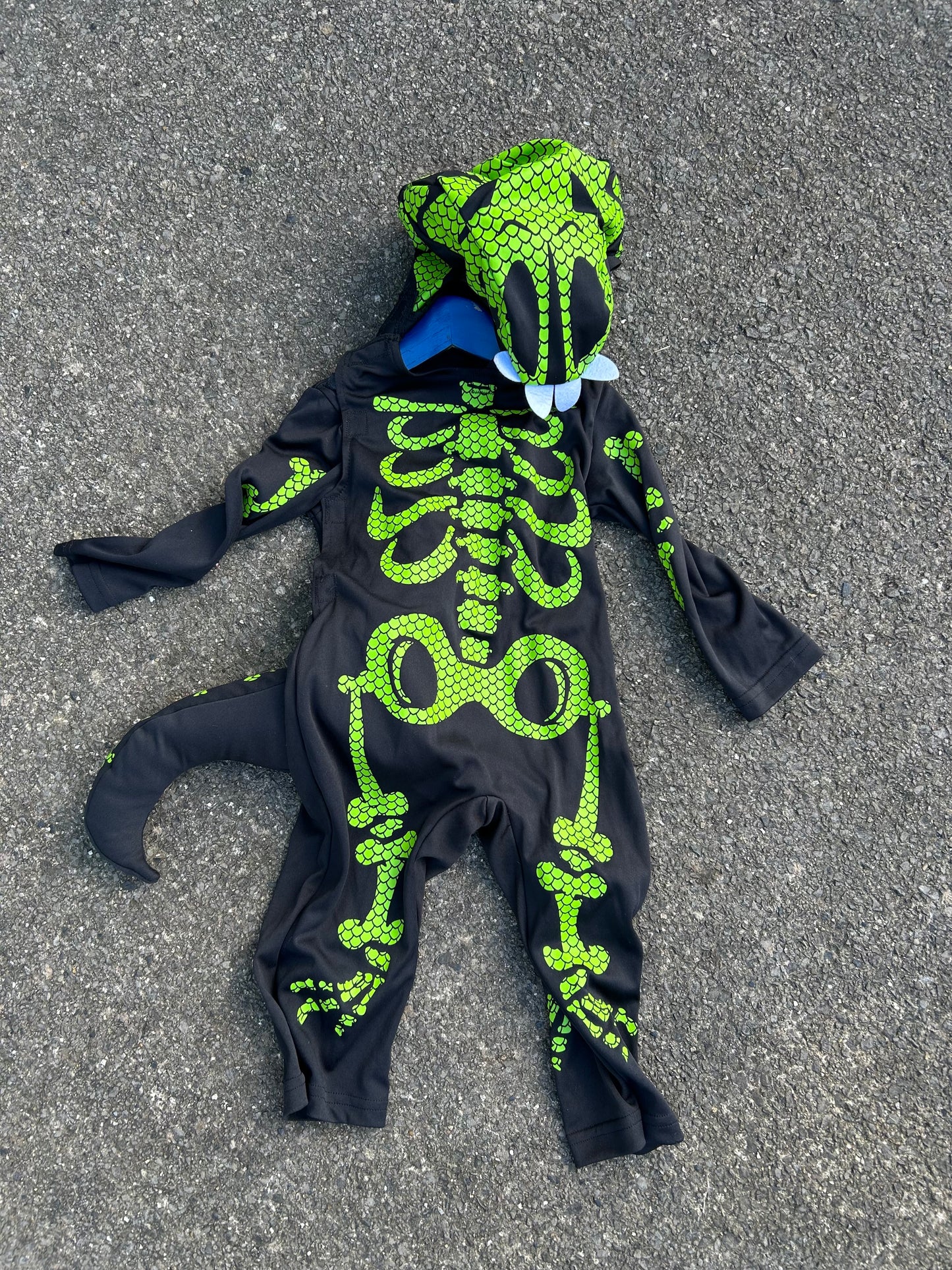Skeleton lizard 18-24m (82-92cm)