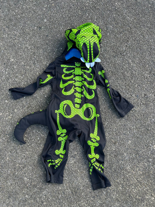 Skeleton lizard 18-24m (82-92cm)
