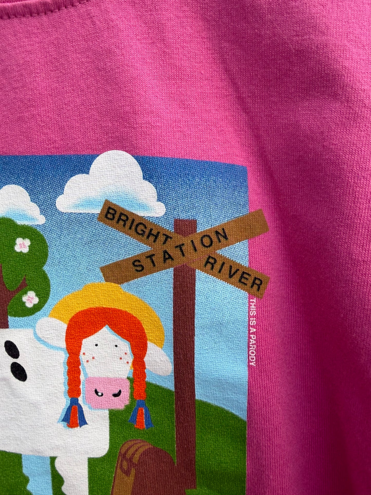 Anne of Green Stables pink t-shirt  3-4y (98-104cm)