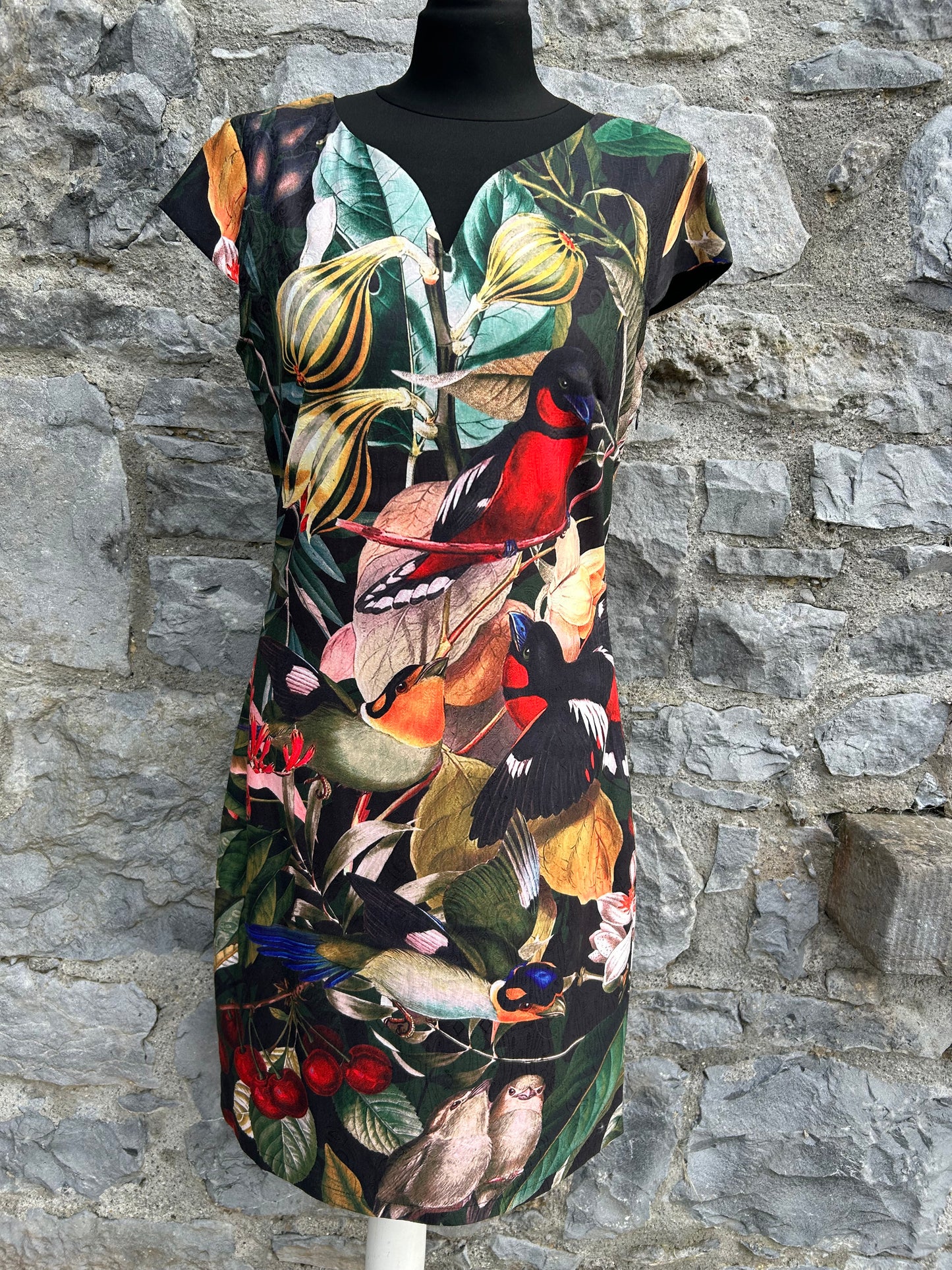 Birds in the orchard dress uk 12