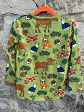 Load image into Gallery viewer, Winter woodland animals green top   6y (116cm)
