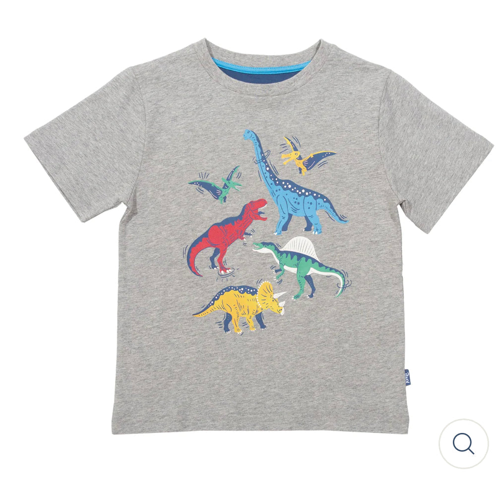 Dinosaur Stomp grey T-Shirt  10-11y (140-146cm)