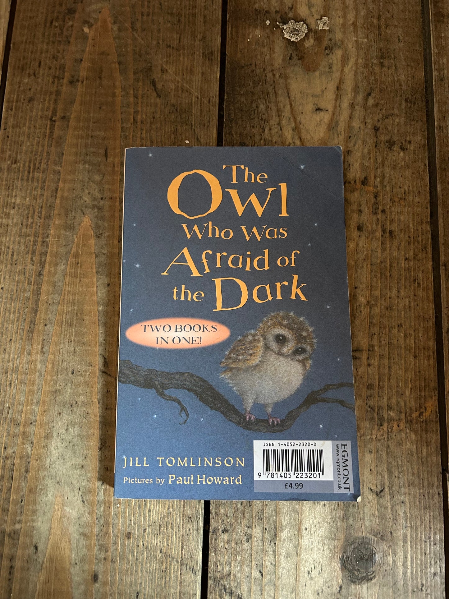 Two in one book by Jill Tomlinson