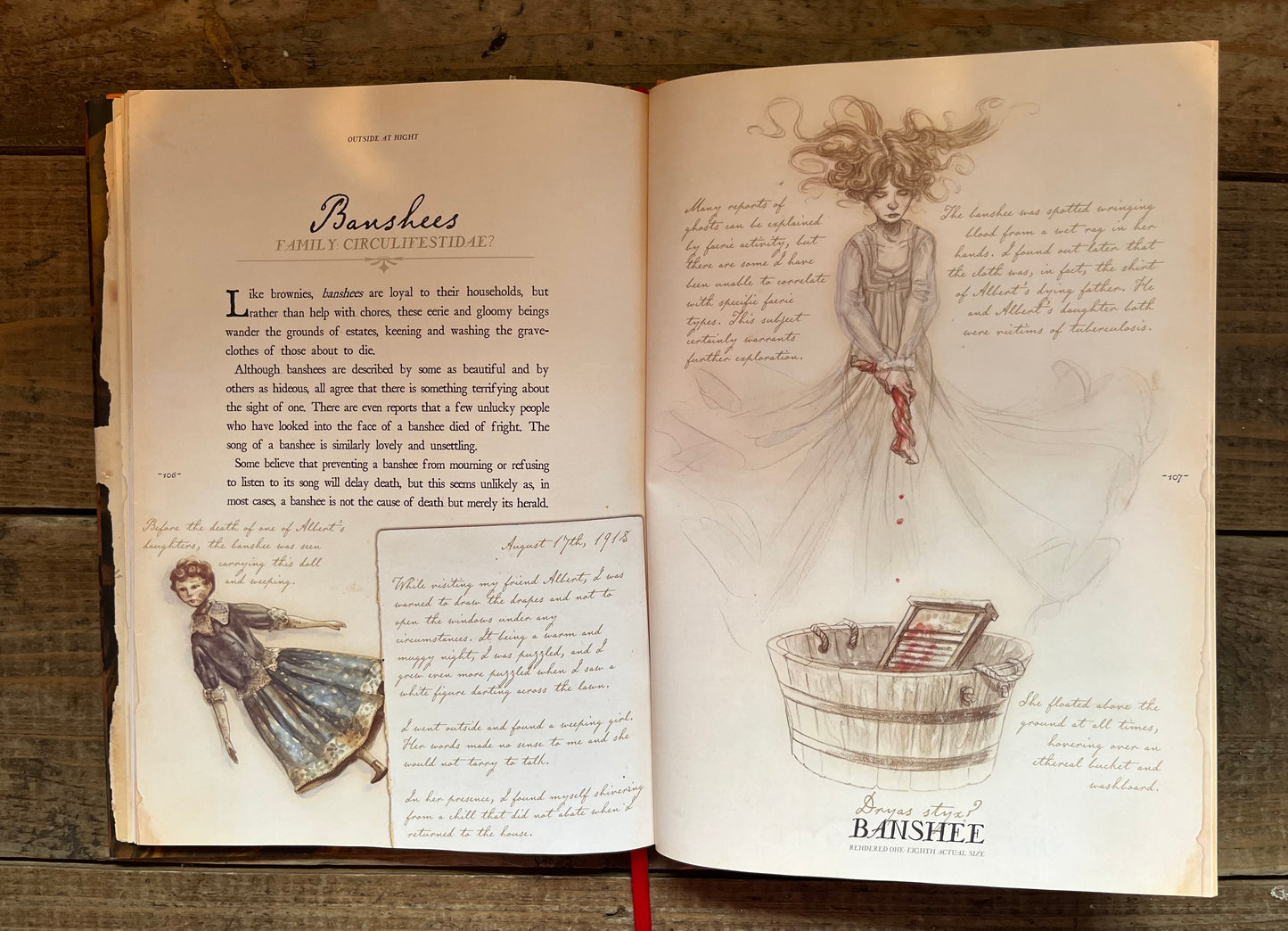 Arthur Spiderwick’s Field Guide By Toni Diterlizzi