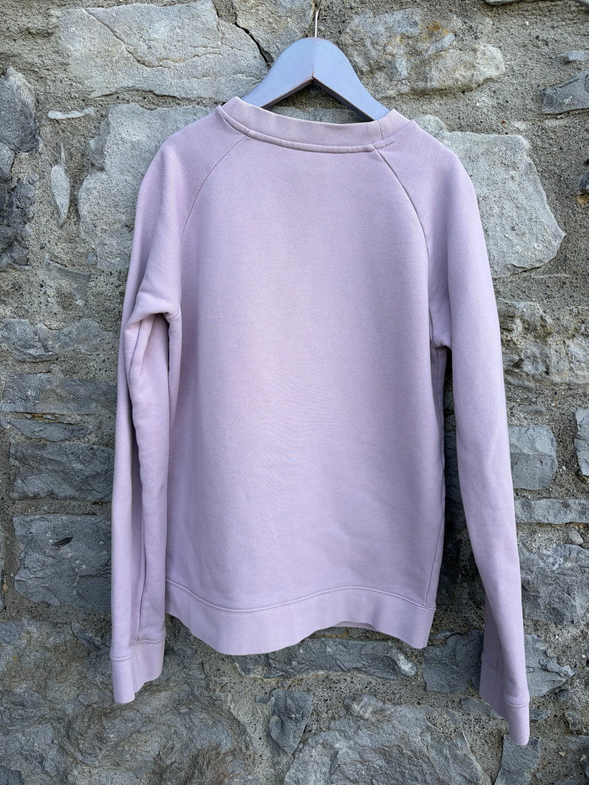 Purple Velvet Trefoil Sweatshirt 13y (158cm)