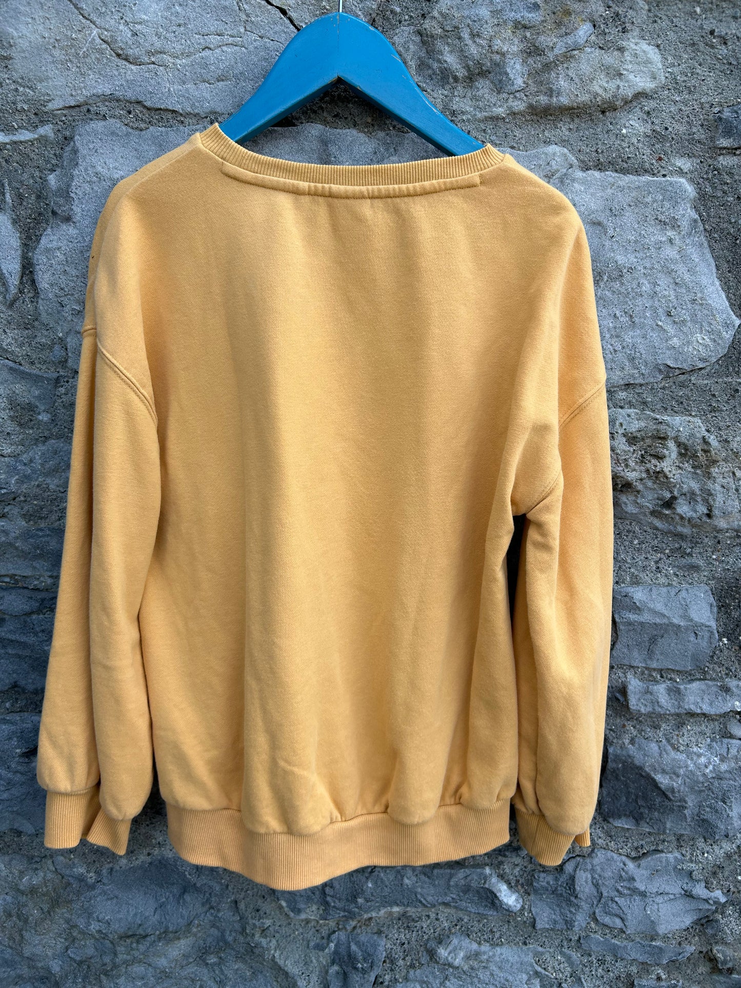 Happy yellow sweatshirt 11y (146cm)