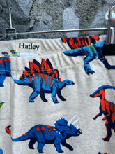 Load image into Gallery viewer, Dinosaurs pjs  8y (128cm)
