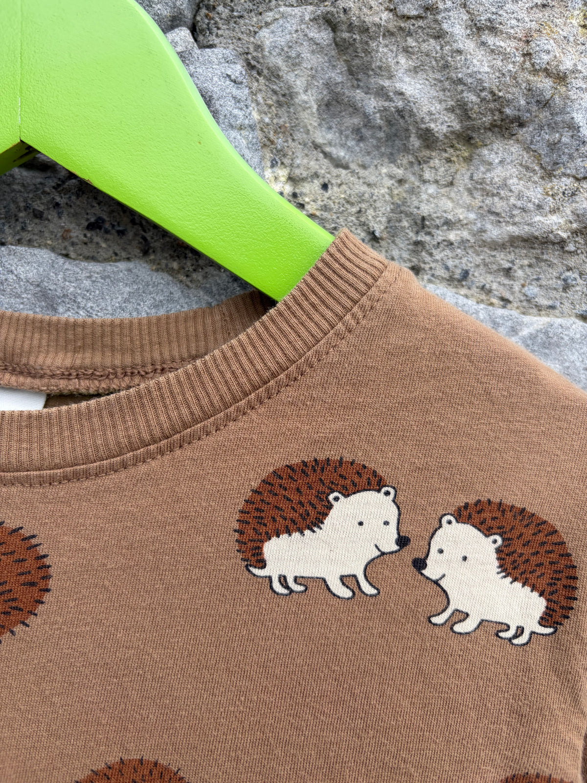 Hedgehogs brown top  2-3y (92-98cm)