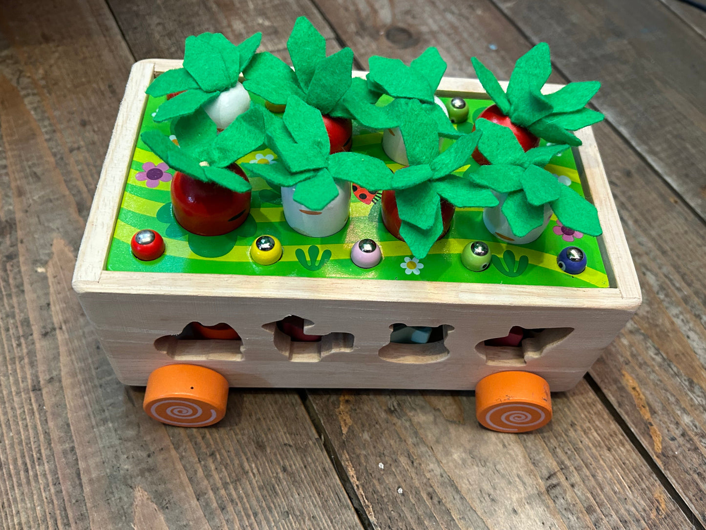Radish box shape sorter