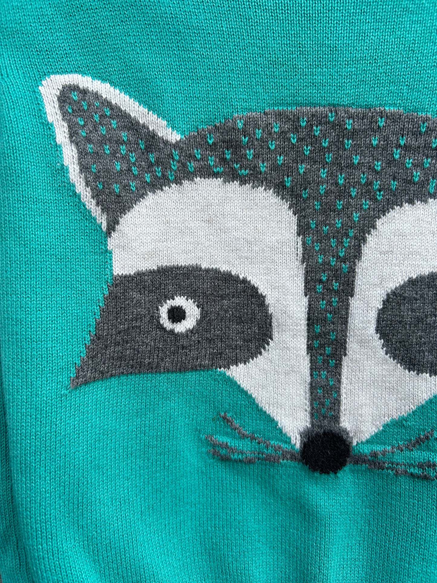 Raccoon jumper    6-9m (68-74cm)