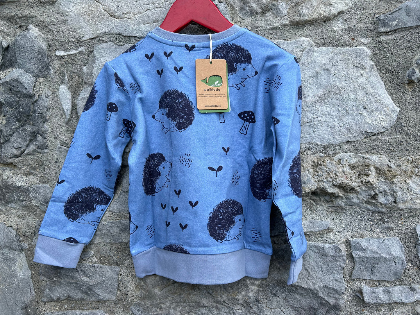 Hedgehog blue sweatshirt   4y (104cm)