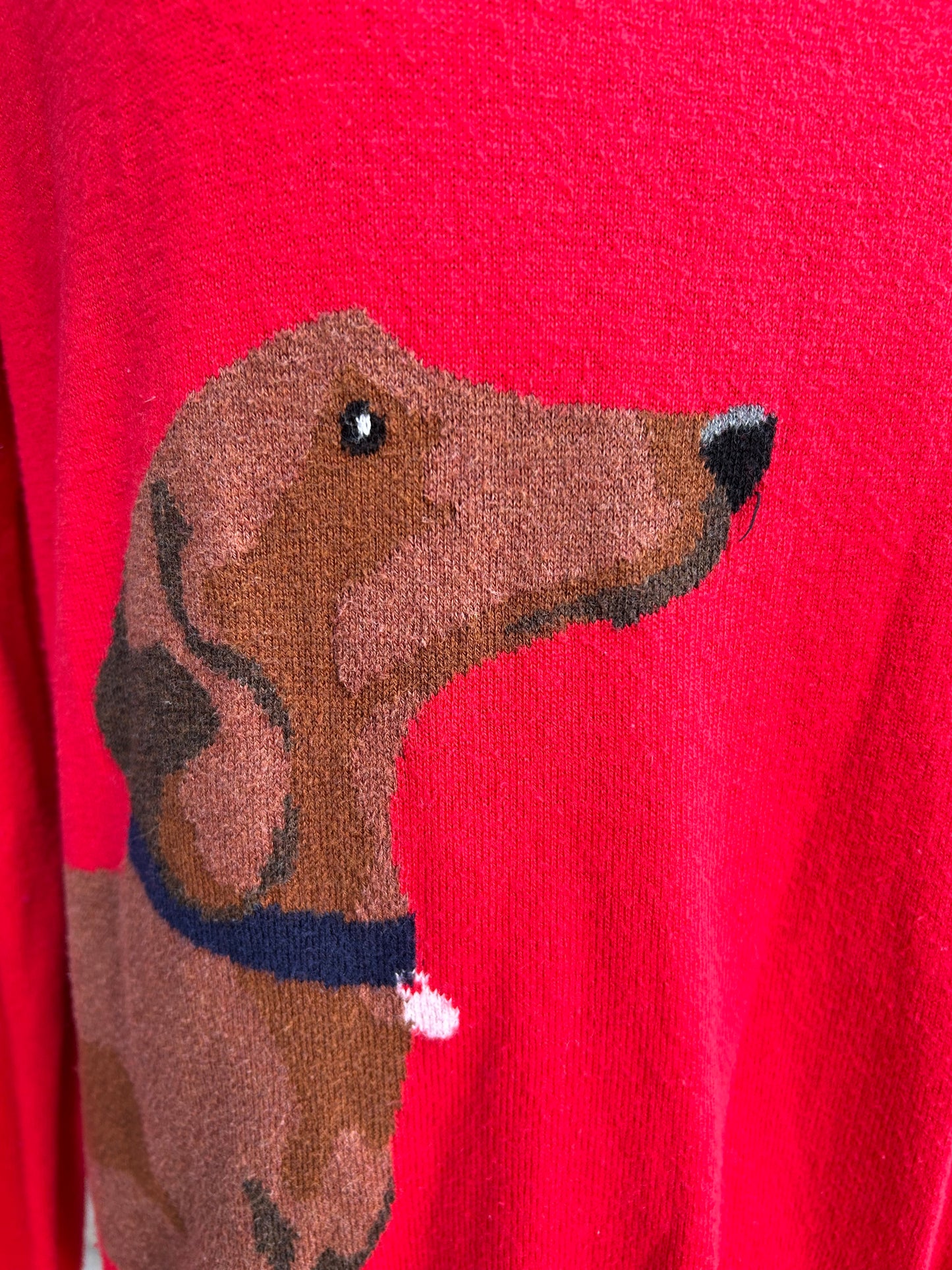 Dachshund red jumper uk 12-14