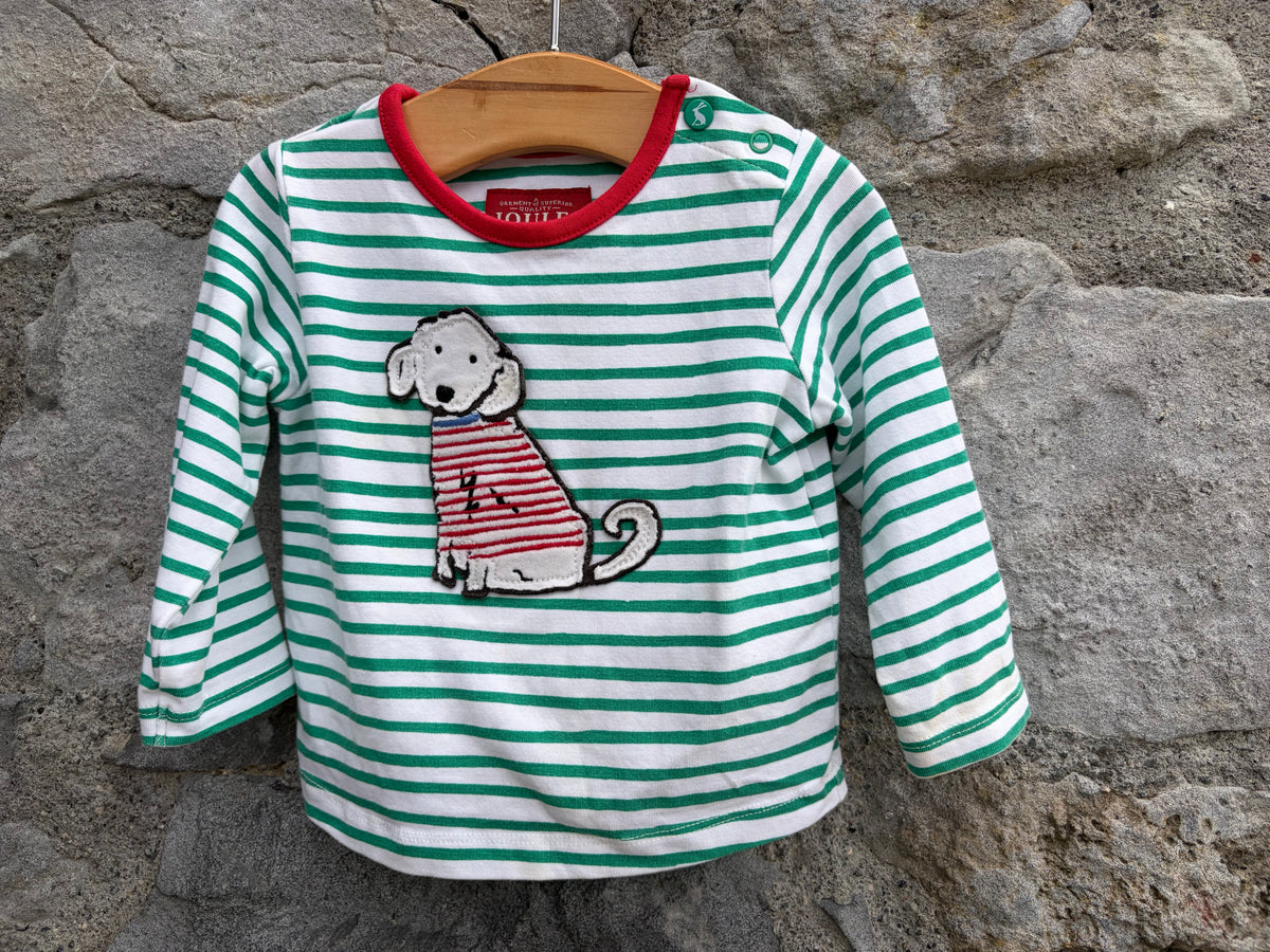 Dog green stripy top  0-3m (56-62cm)